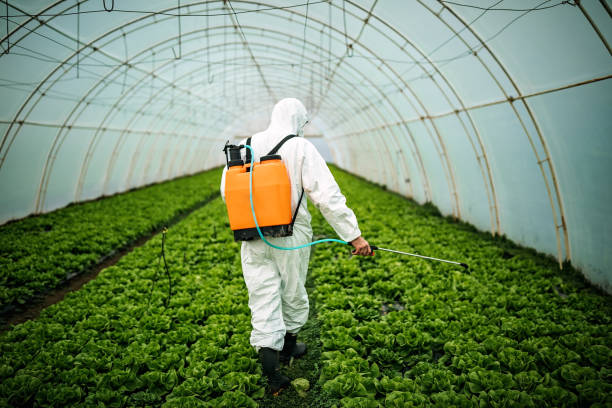Best Affordable Pest Control Services  in Emerald Isle, NC